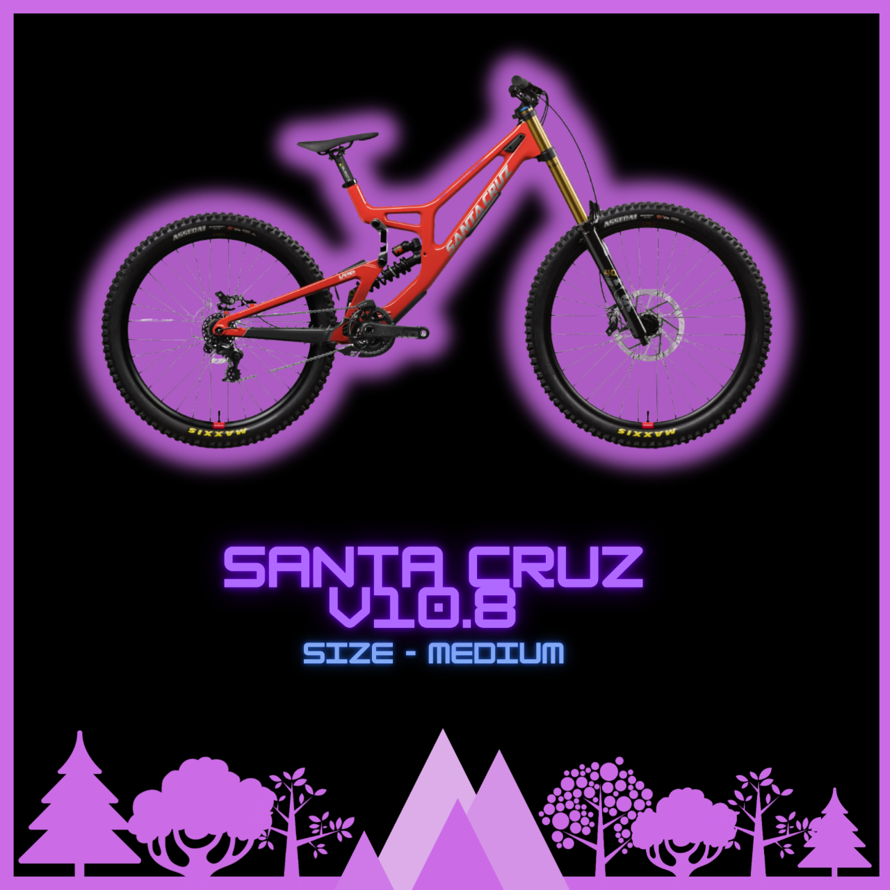 Santa Cruz V10.8 DH Bike Size Medium Half Day