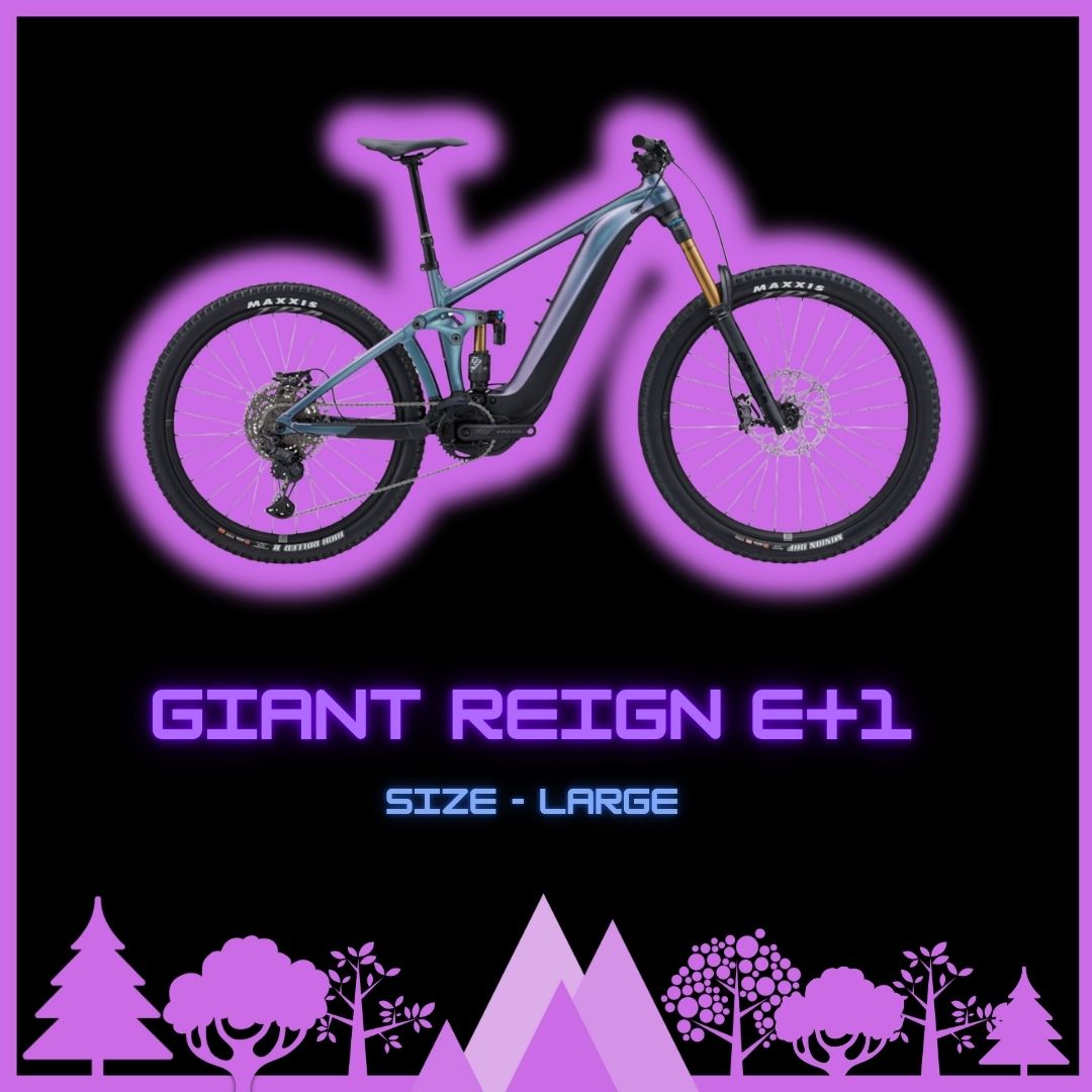 Enduro Full Suspension E-Bike - Large - Half Day