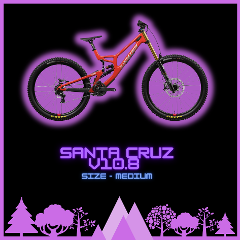 Santa Cruz V10.8 DH Bike Size Medium Full Day 