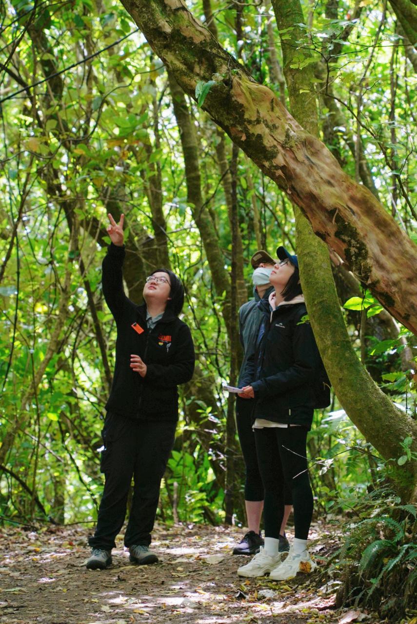 Zealandia by Day - Mandarin-speaking tour