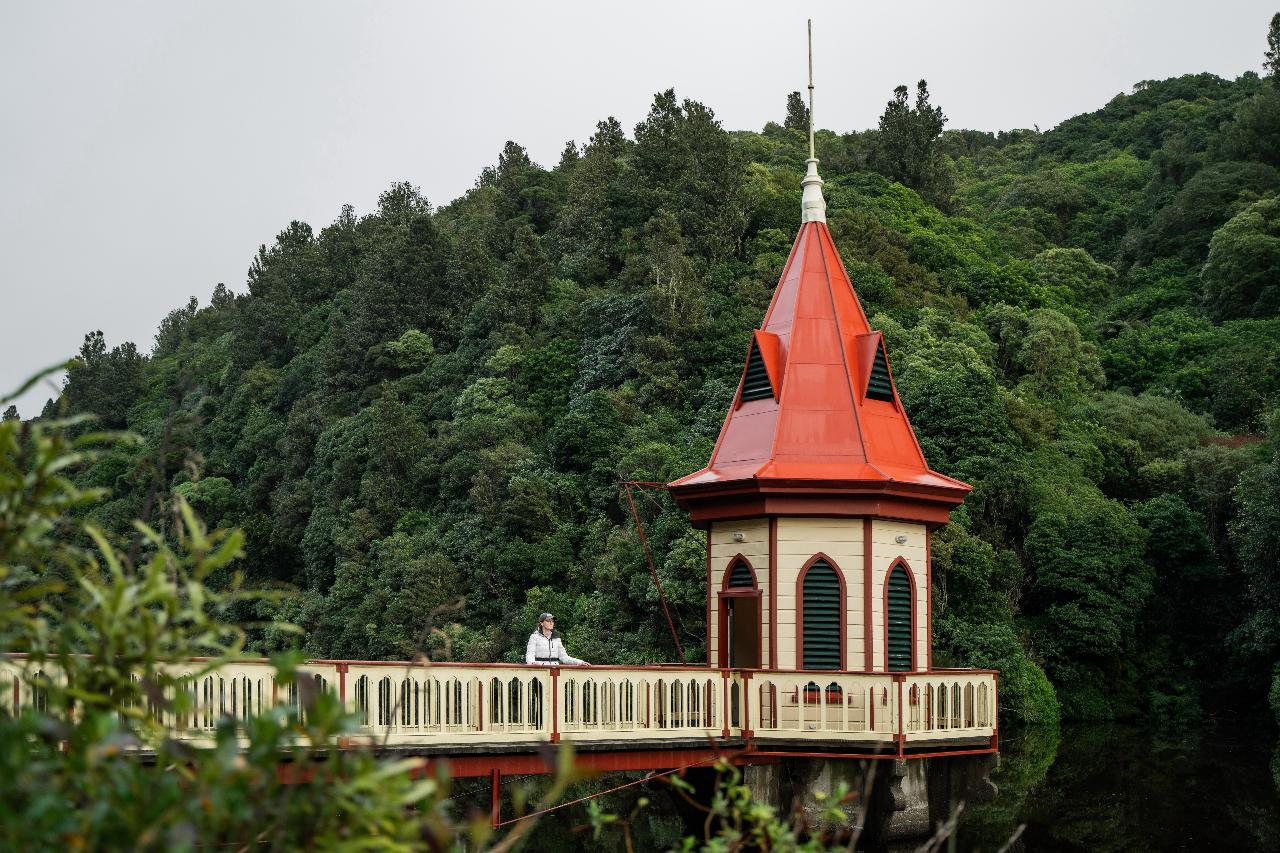Wellington Highlights (3 days / 3 nights) ...