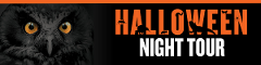 Halloween Night Tour at Zealandia