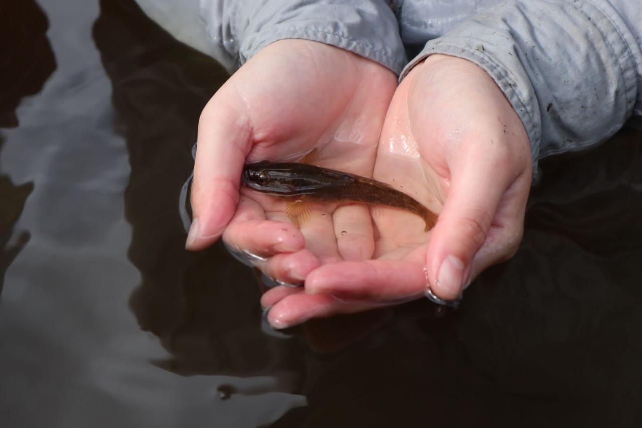 Primary Yr 1-3 : Nature & Nurture