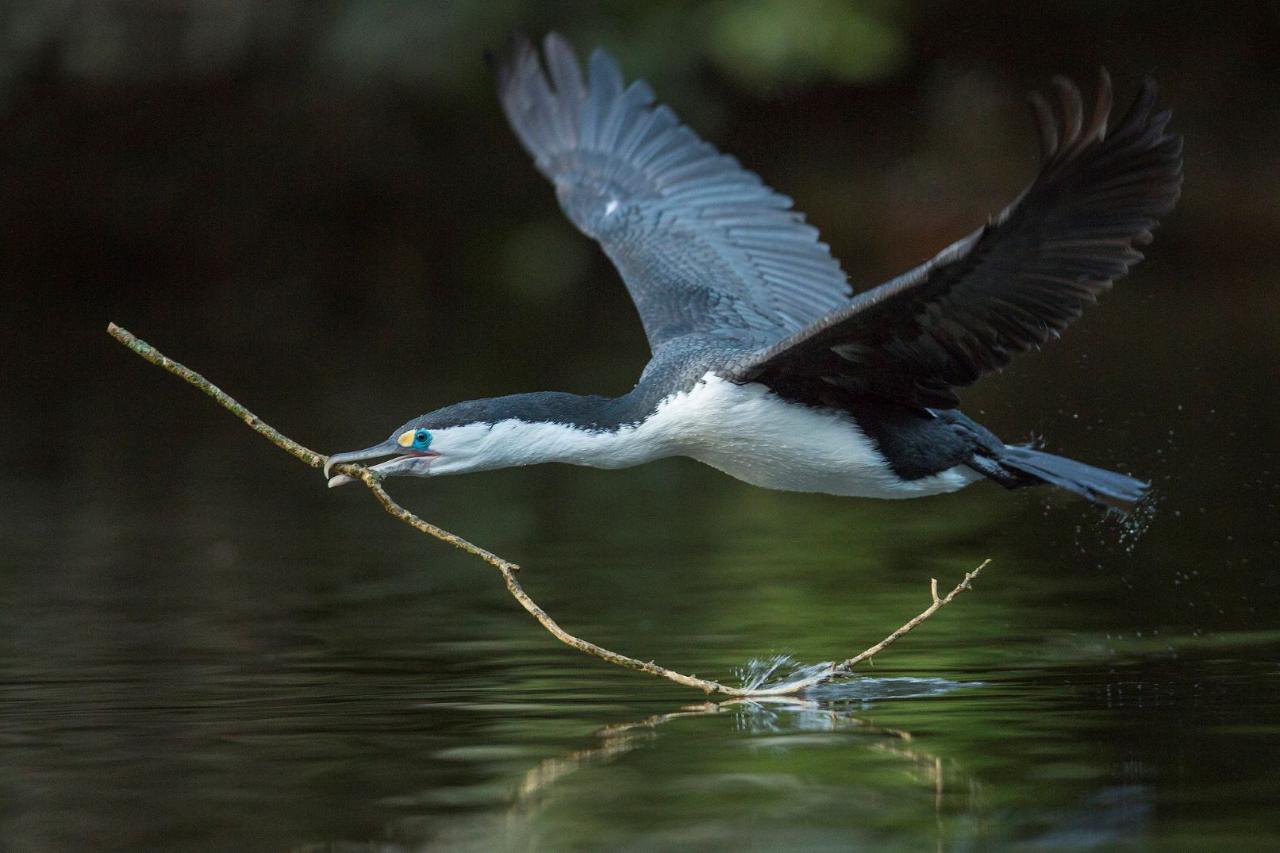 Secondary Yr 9-13 : Nature at Your Place 