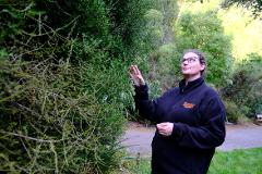 Forest Secrets: Plant stories of Zealandia
