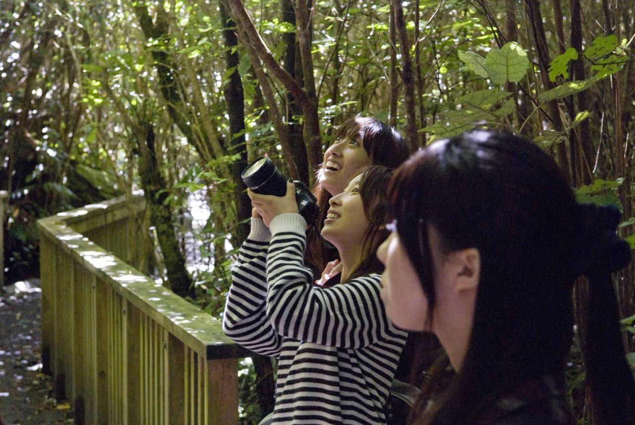 Private Zealandia by Day - Mandarin-speaking tour