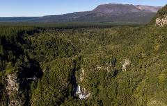 Gift Voucher - VOLCANIC HELI HIKE - TARAWERA FALLS 