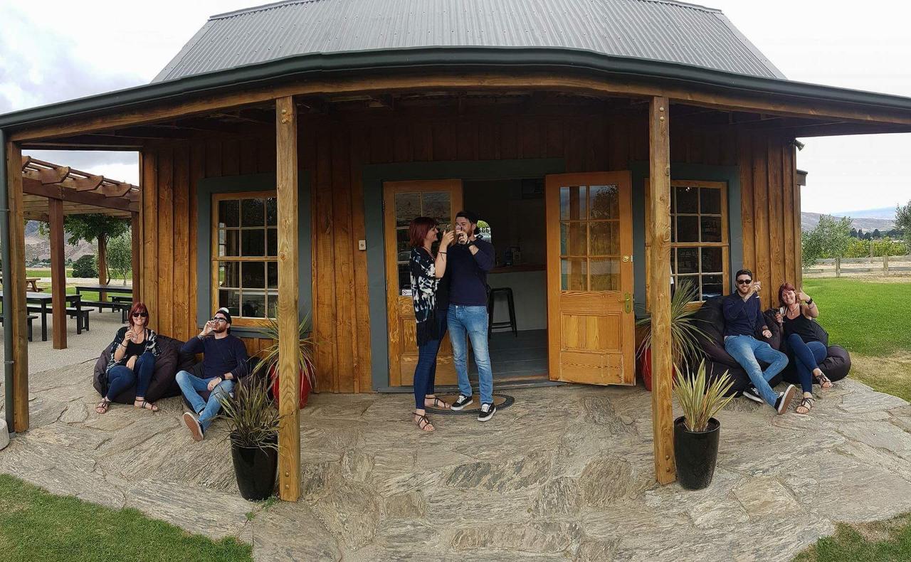 Wanaka Wine Tours: Boutique Wine Tour — Central Otago - Photo 1