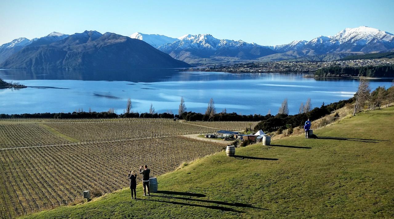 wine tour wanaka