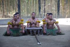 Cultural Night Tour 