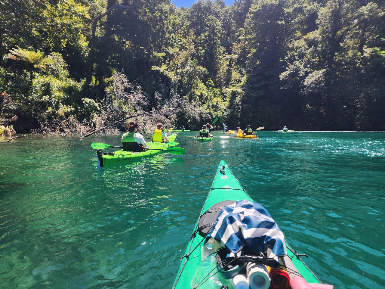 Half Day Queen Charlotte Sound Guided Kayak