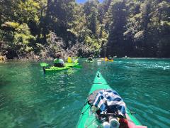 Half Day Queen Charlotte Sound Guided Kayak