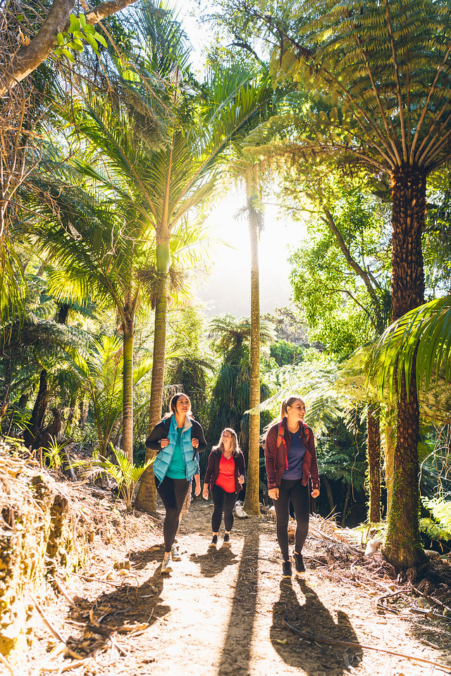SPRING SPECIAL - 3 Day Upgrade Independent Walk - Furneaux Lodge & Punga Cove 