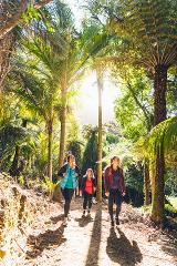 SPRING SPECIAL - 3 Day Upgrade Independent Walk - Furneaux Lodge & Punga Cove 