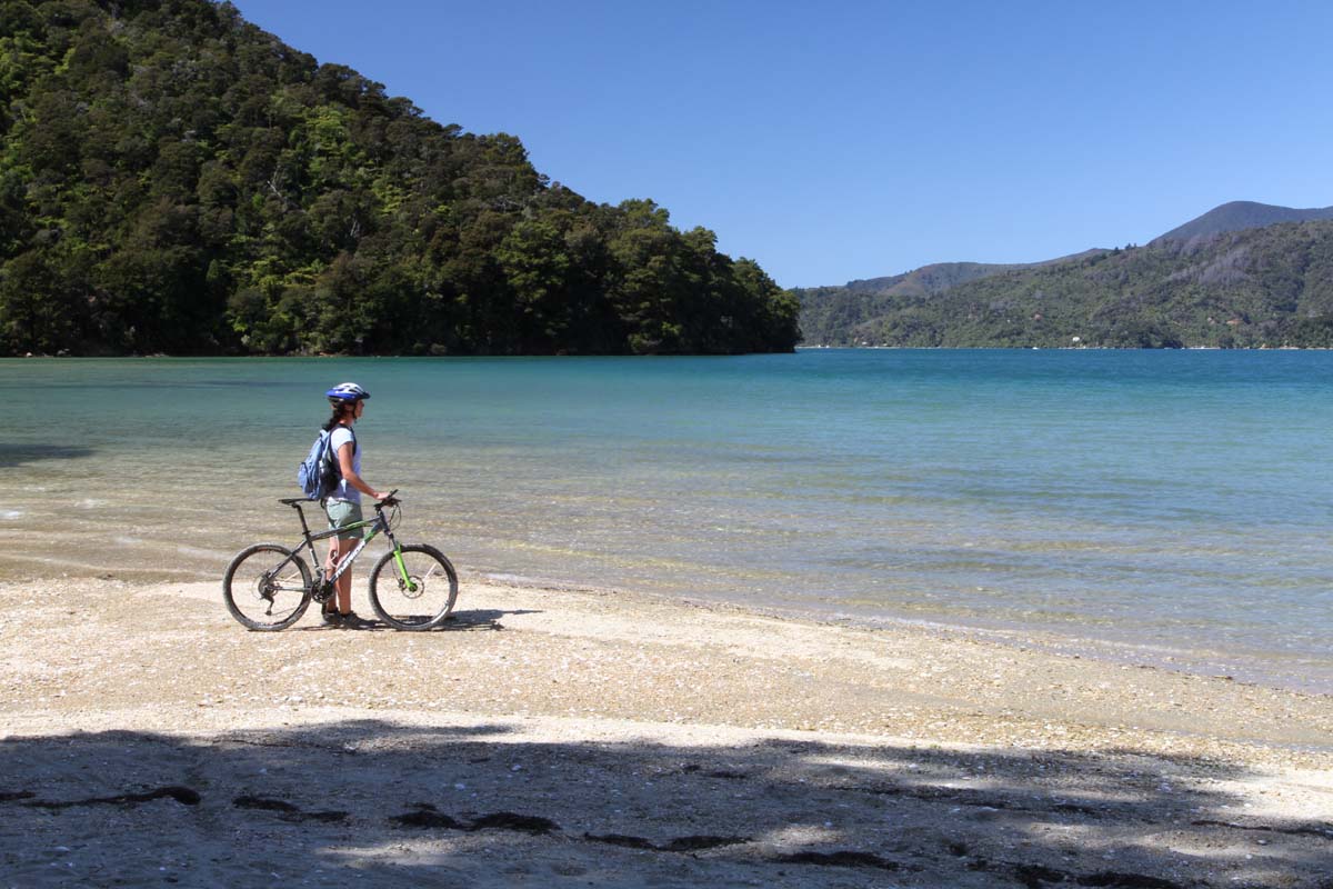 1 Day Kayak & Bike Link Pathway