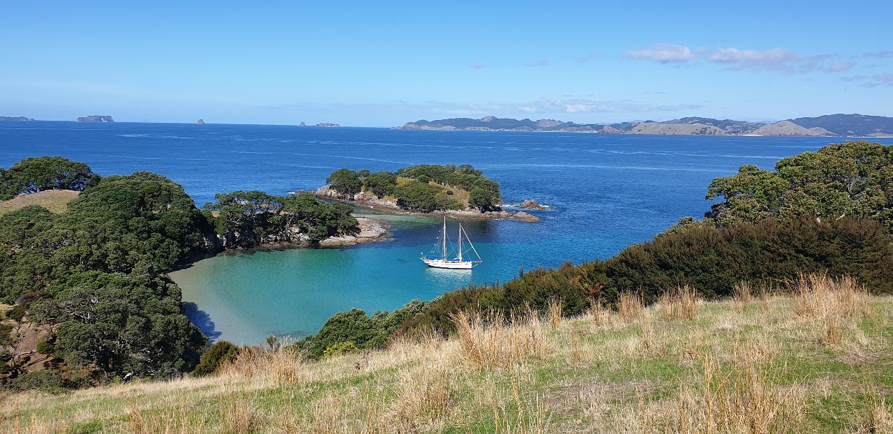 Great Mercury Island Cruise - Windborne Sailing Charters New Zealand ...