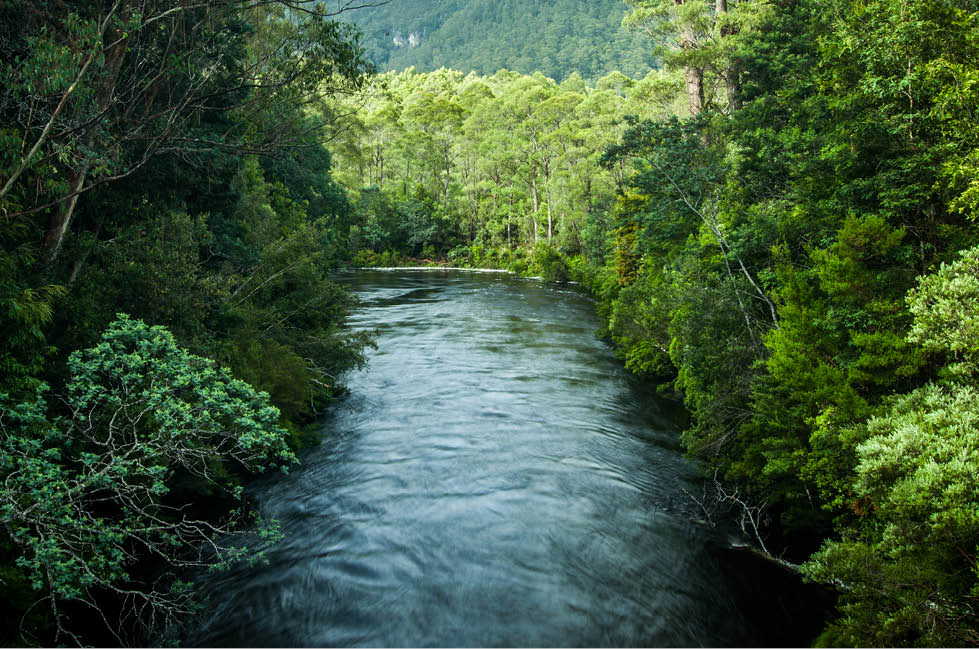 visit franklin river