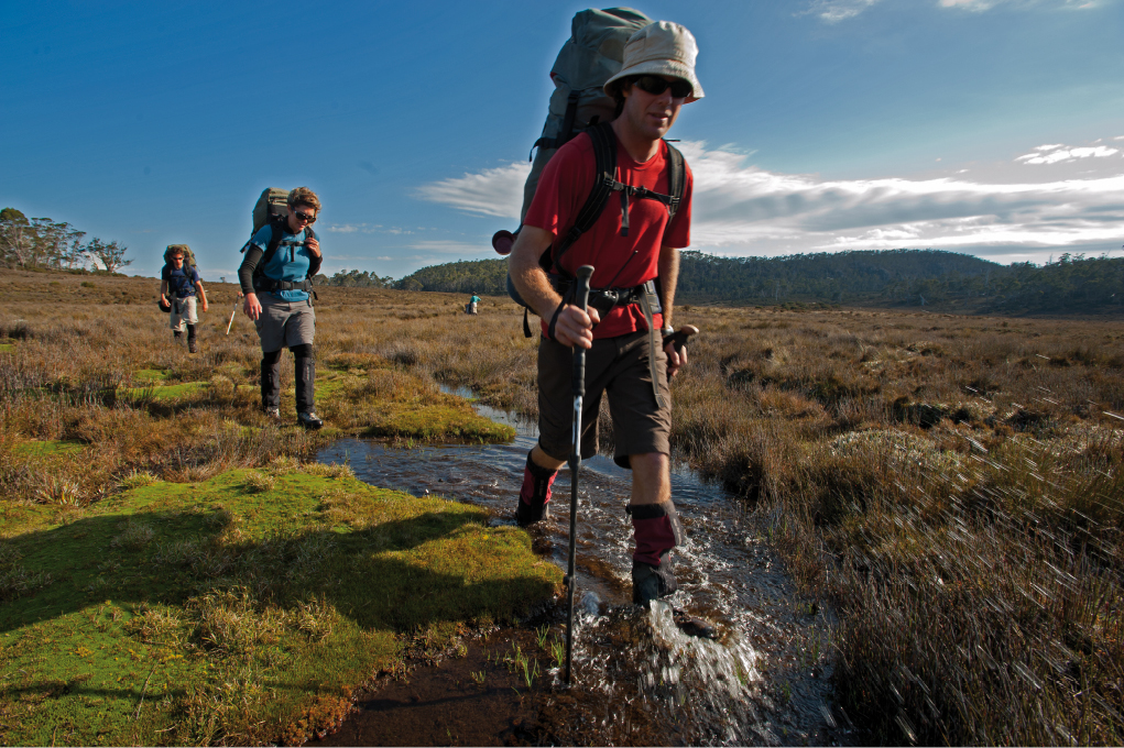 The Walls of Jerusalem Experience