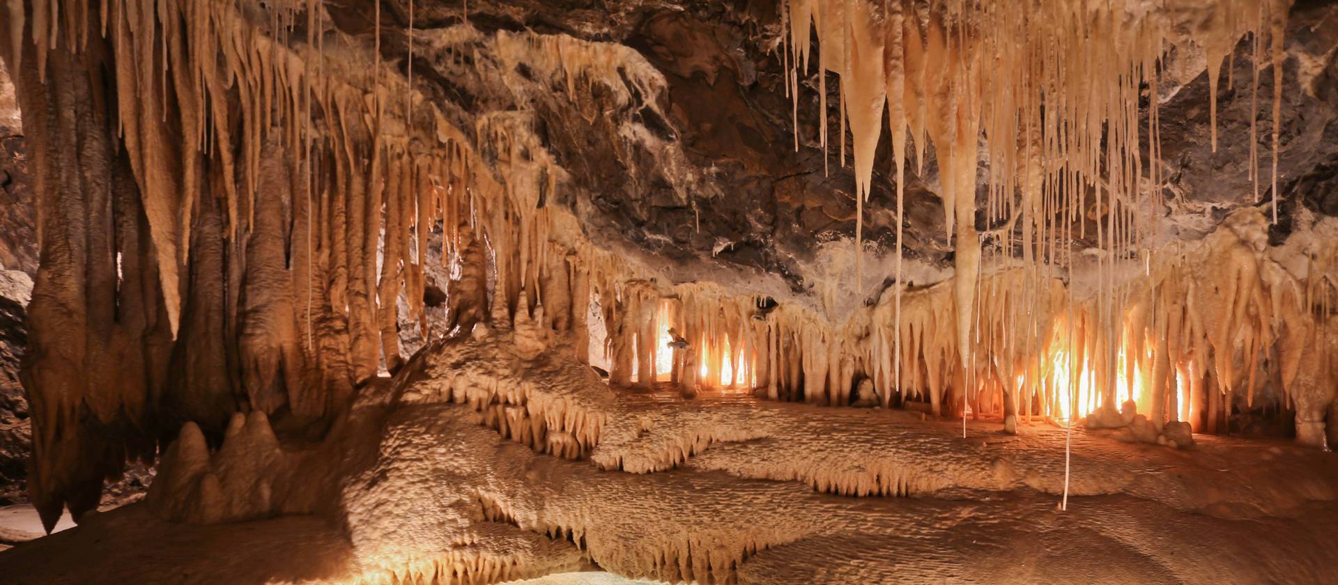 Cradle Mountain Family Adventure