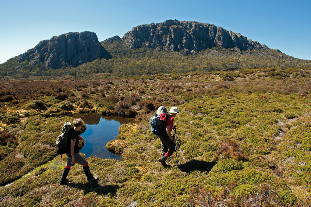 The Walls of Jerusalem Experience