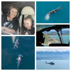 Kaikōura Helicopters - Classic Whale Watch Mother's Day Voucher 2025