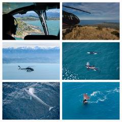  Gift Voucher - Kaikōura Helicopters -  Top n Tail - Whales & Mt Fyffe Alpine Landing