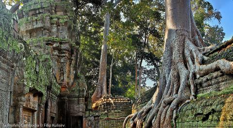 Small-Group Explore Angkor Wat Sunrise Tour with Guide from Siem Reap