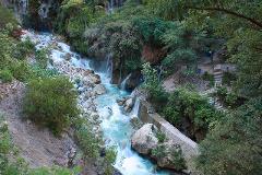 Tolantongo Tour: Relax in Hot Springs and Admire Beautiful Cascades (Private / 14h)