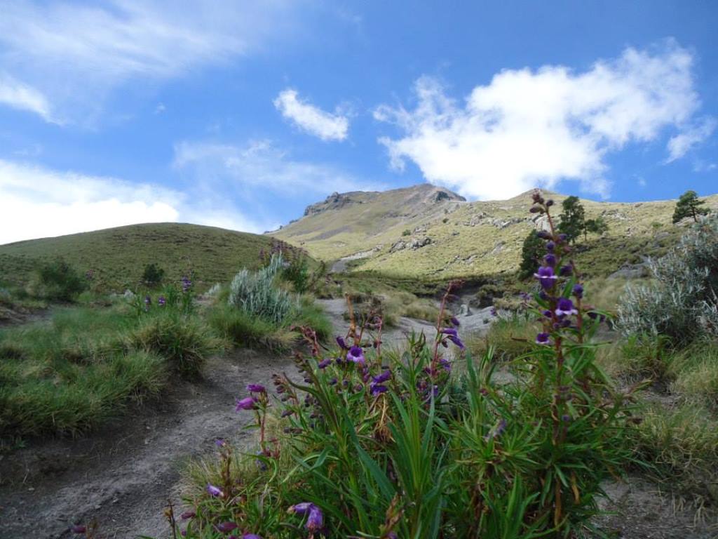 La Malinche Volcano: Hike to the Top and Explore Charming Tlaxcala (Small-Group / 14h)