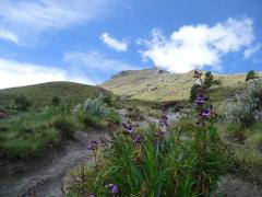 La Malinche Volcano: Hike to the Top and Explore Charming Tlaxcala (Private / 14h)