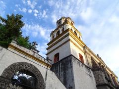 Coyoacan Museums: Know Kahlo House, Folk Culture Museum and More (Small-Group / 7h) 