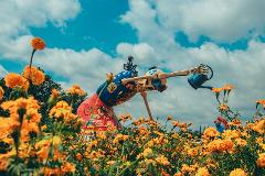 Dia de Muertos Tour: Cempasúchil Fields and Giant Catrinas in Atlixco (Small-group/ 13h) 