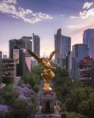 Bus Tour Mexico City: See All Major Landmarks In One Day (Private / 9h)