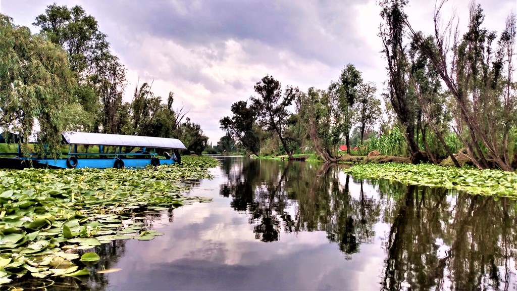 Xochimilco Day Trip: Know a Farmland Food and Hop on a Trajinera (Private / 8h)