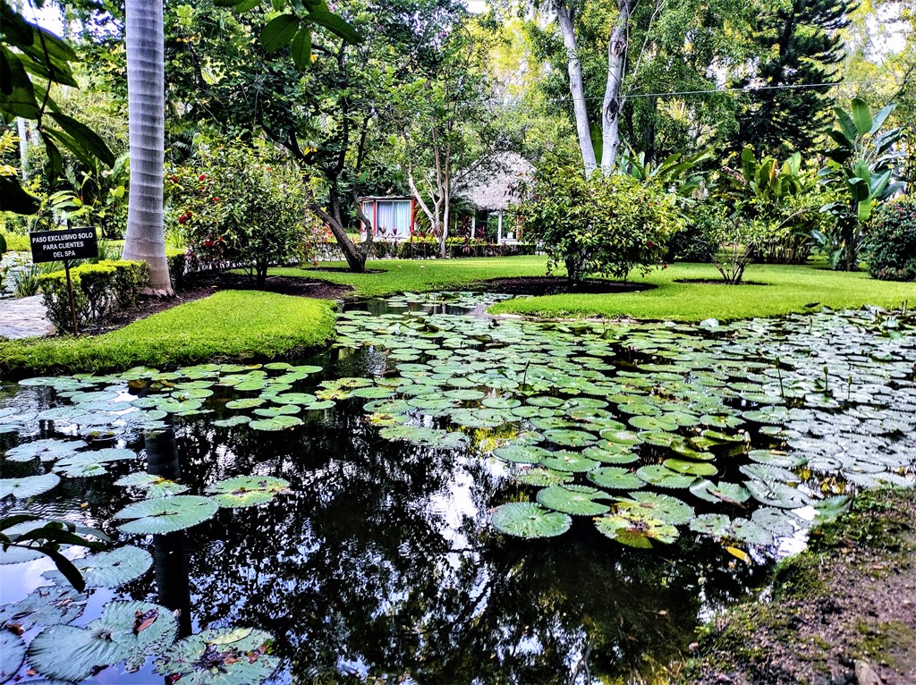 Las Estacas Tour: Swim Among Colorful Fish and Visit Tepoztlan Town (Small-Group / 14h)