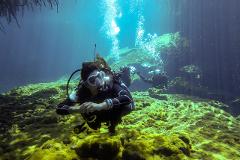 Scuba Diving Tulum Beginners: Explore the Amazing Submarine Life (Private /10h)