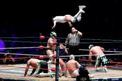 Lucha Libre Tour Mexico City (Pulque & Tacos / Private / 5h)