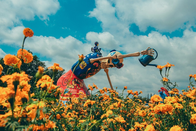 Dia de Muertos Tour: Cempasúchil Fields and Giant Catrinas in Atlixco (Private / 13h) 