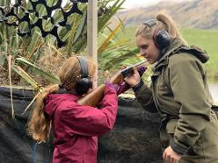 Clay Target Shooting and Target Shooting with Rifle