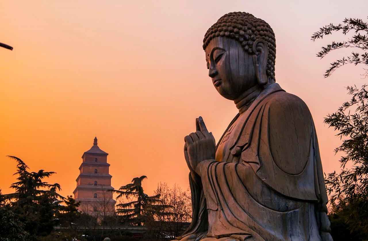 1 Day Terracotta Warriors and Big Wild Goose Pagoda Bus Tour