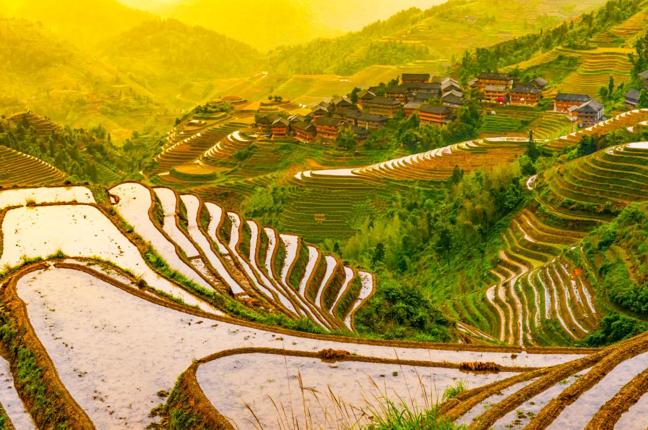 Guilin Rice Terraces: One Day Guided Group Tour with Lunch