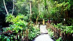 Sanya Private Day Tour: Yanoda Tropical Rain-forest Park and Binglanggu Li & Miao Minority Culture Park