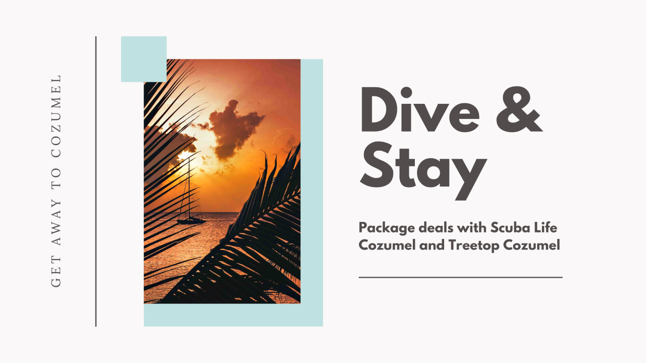 Stay & Dive Package for 2 Divers ( 2 Boat Dives per Day)