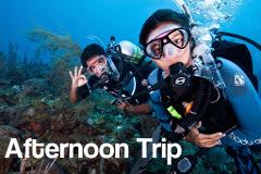 Afternoon 2 PM - 2 Tank Boat Trip for Certified Divers (1 or 2 days) 