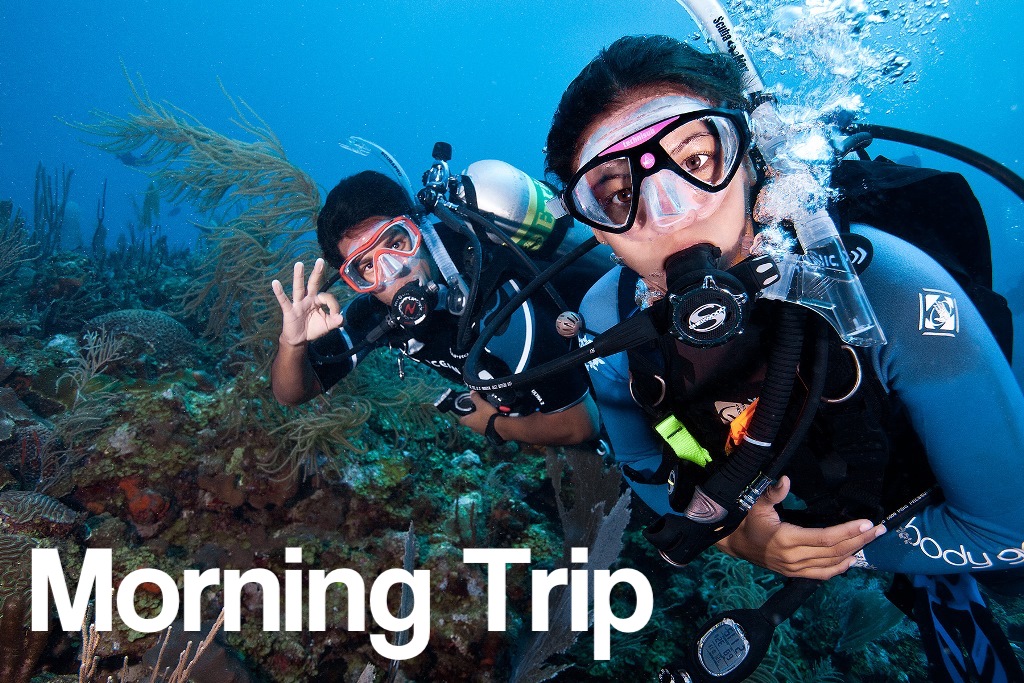 Cozumel Diving and Snorkeling | Scuba Life Cozumel | Scuba Diving in Cozumel