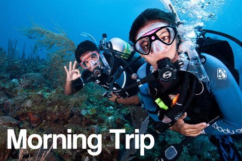 2divers_underwater_morning