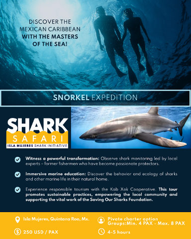 BROCHURE_SHARK_SAFARI_2