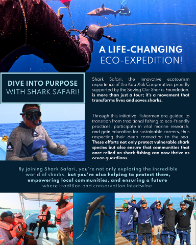 BROCHURE_SHARK_SAFARI_3