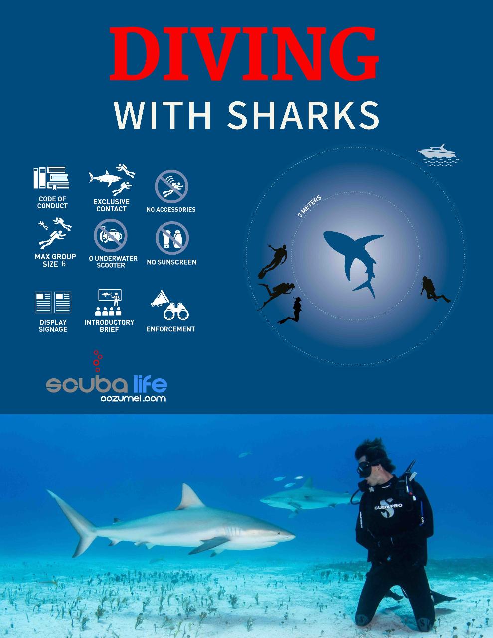 Scuba Life Cozumel Cozumel Diving and Snorkeling Scuba Diving in