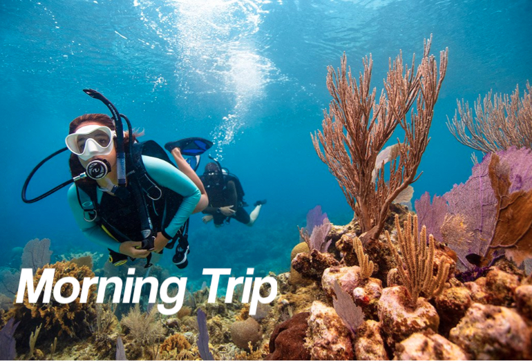 Morning 9AM - 2 Tank Boat Trip for Certified Divers (1 or 2 days) 